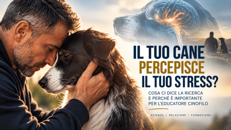 Uomo e cane vicini: immagine dell&rsquo;articolo sullo stress umano